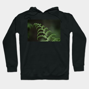 Fern- New Beginning Hoodie